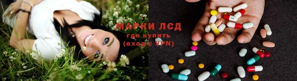 PSILOCYBIN Аркадак