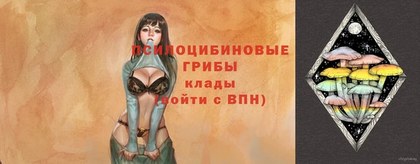 стафф Алексин