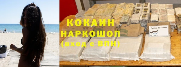 PSILOCYBIN Аркадак