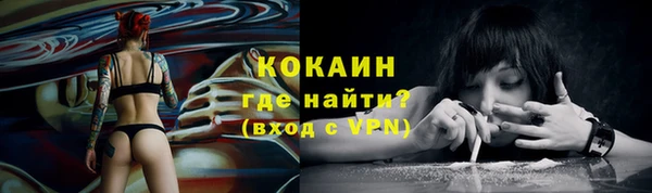 PSILOCYBIN Аркадак