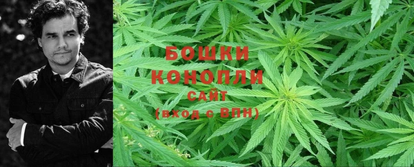 PSILOCYBIN Аркадак