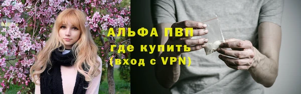 PSILOCYBIN Аркадак