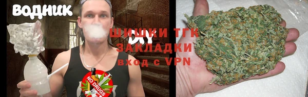 дурь Арсеньев