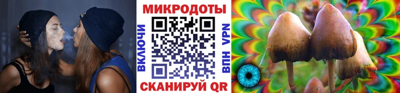 даркнет телеграм  OMG ТОР  Колпашево  Псилоцибиновые грибы Psilocybe 